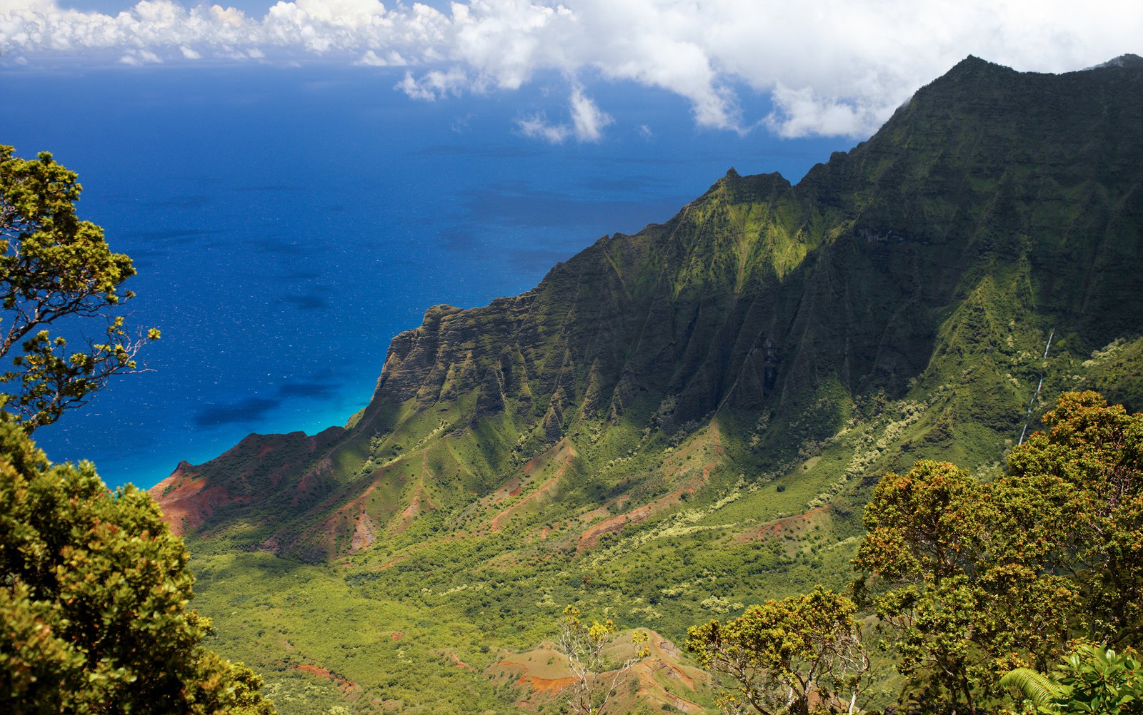Hawaii landscape